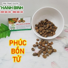 Địa chỉ bán phúc bồn tử tăng cường sinh lý uy tín chất lượng nhất