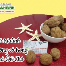 Địa chỉ bán quả óc chó có tác dụng giúp giảm cân hiệu quả nhất