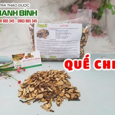 Địa chỉ bán quế chi có tác dụng điều trị phong thấp hiệu quả
