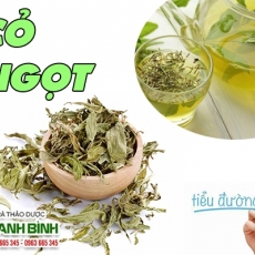 Mua bán cây cỏ ngọt tại quận 1 có tác dụng điều trị béo phì an toàn nhất