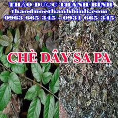 Địa chỉ công ty bán chè dây tại Bà Rịa - Vũng Tàu gần nhất