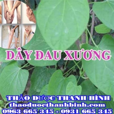 Địa chỉ công ty bán dây đau xương tại Bình Dương gần nhất