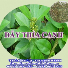 Địa chỉ công ty bán dây thìa canh nhất tại Bắc Kạn gần nhất