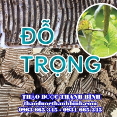 Địa chỉ công ty bán đỗ trọng tại Cần Thơ gần nhất