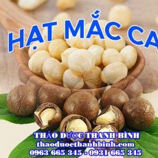 Địa chỉ công ty bán hạt mắc ca tại Cà Màu gần nhất