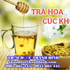 Địa chỉ công ty bán hoa cúc khô tại Bình Định gần nhất