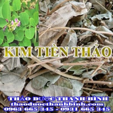 Địa chỉ công ty bán kim tiền thảo tại Bà Rịa - Vũng Tàu gần nhất