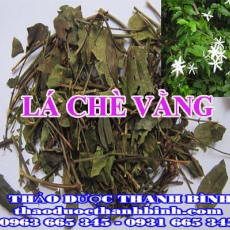 Địa chỉ công ty bán lá chè vằng tại An Giang gần nhất