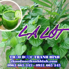 Địa chỉ công ty bán lá lốt vằng tại Đồng Tháp gần nhất