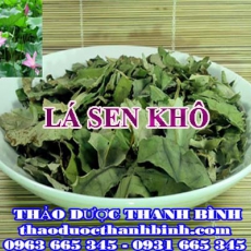 Địa chỉ công ty bán lá sen khô tại Bình Dương gần nhất