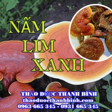 Địa chỉ công ty bán nấm lim xanh tại Cao Bằng gần nhất