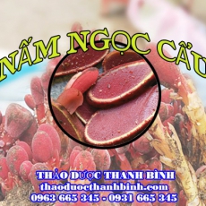 Địa chỉ công ty bán nấm ngọc cẩu tại Cần Thơ gần nhất