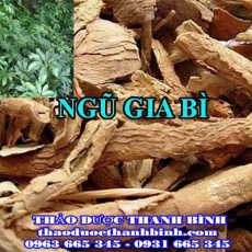 Địa chỉ công ty bán ngũ gia bì tại Bắc Ninh gần nhất