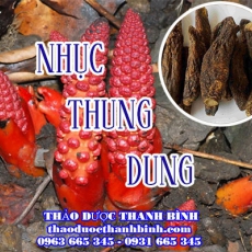 Địa chỉ công ty bán nhục thung dung tại Cao Bằng gần nhất