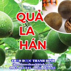 Địa chỉ công ty bán quả la hán tại Bình Thuận gần nhất