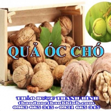 Địa chỉ công ty bán quả óc chó tại Bắc Kạn gần nhất
