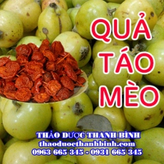 Quả táo mèo