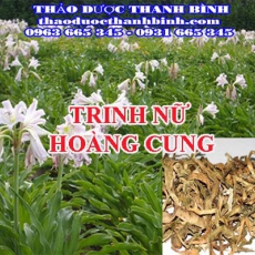 Địa chỉ công ty bán trinh nữ hoàng cung tại Bắc Giang gần nhất