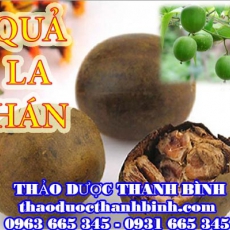 Địa chỉ mua bán quả la hán tại Bình Thuận uy tín chất lượng