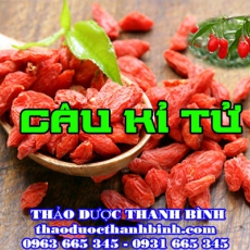 Địa chỉ mua bán câu kỉ tử tại Đồng Nai giá tốt nhất