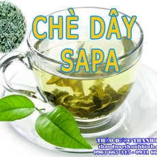 Địa chỉ mua bán chè dây tại Bà Rịa Vũng Tàu giá tốt nhất