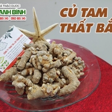 Mua bán củ tam thất bắc tại TP.HCM uy tín chất lượng tốt nhất