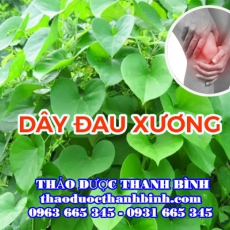 Địa chỉ mua bán dây đau xương tại Bình Dương giá tốt nhất