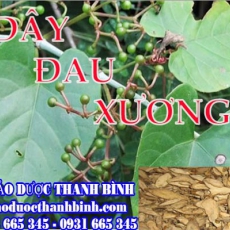 Địa chỉ mua bán dây đau xương tại Bình Dương uy tín chất lượng