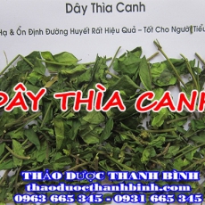 Địa chỉ mua bán dây thìa canh tại Bắc Kạn giá tốt nhất