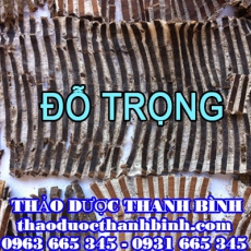 Địa chỉ mua bán đỗ trọng tại Cần Thơ giá tốt nhất