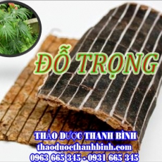 Địa chỉ mua bán đỗ trọng tại Cần Thơ uy tín chất lượng