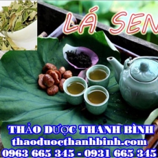 Địa chỉ mua bán lá sen tại Bình Dương uy tín chất lượng