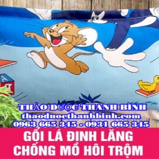 Địa chỉ mua bán gối lá đinh lăng tại Đồng Nai giá tốt nhất