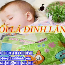 Địa chỉ mua bán gối lá đinh lăng tại Đồng Nai uy tín chất lượng