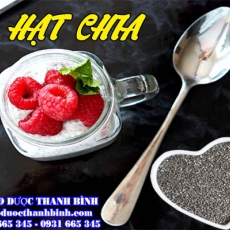 Địa chỉ mua bán hạt chia tại Hà Tĩnh giá tốt nhất
