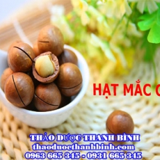 Địa chỉ mua bán hạt mắc ca tại Cà Mau giá tốt nhất