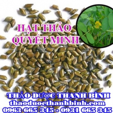 Địa chỉ mua bán hạt thảo quyết minh tại Hà Nội giá tốt nhất