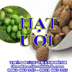 Địa chỉ mua bán hạt ươi tại Bắc Kạn giá tốt nhất