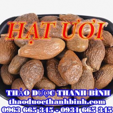 Địa chỉ mua bán hạt ươi tại Bắc Kạn uy tín chất lượng