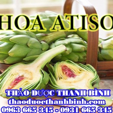 Địa chỉ mua bán hoa atiso tại Bắc Kạn uy tín chất lượng