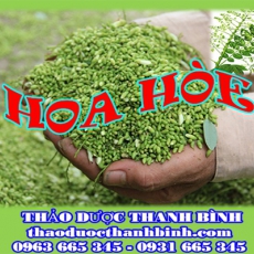 Địa chỉ mua bán hoa hòe tại Bình Thuận giá tốt nhất
