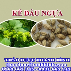 Địa chỉ mua bán ké đầu ngựa tại Điện Biên giá tốt nhất