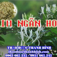 Địa chỉ mua bán kim ngân hoa tại Cần Thơ uy tín chất lượng