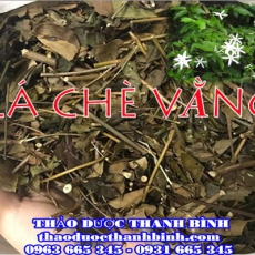 Địa chỉ mua bán lá chè vằng tại An Giang uy tín chất lượng