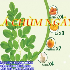 Địa chỉ mua bán lá chùm ngây tại Bà Rịa - Vũng Tàu uy tín chất lượng