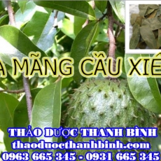 Địa chỉ mua bán lá mãng cầu xiêm tại Bạc Liêu uy tín chất lượng