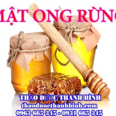 Địa chỉ mua bán mật ong rừng tại Cao Bằng uy tín chất lượng