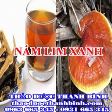 Địa chỉ mua bán nấm lim xanh tại Cao Bằng giá tốt nhất