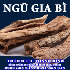 Địa chỉ mua bán ngũ gia bì tại Bắc Ninh giá tốt nhất