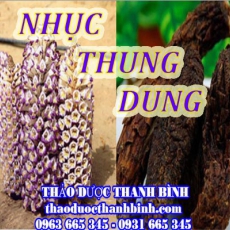 Địa chỉ mua bán nhục thung dung tại Cao Bằng uy tín chất lượng